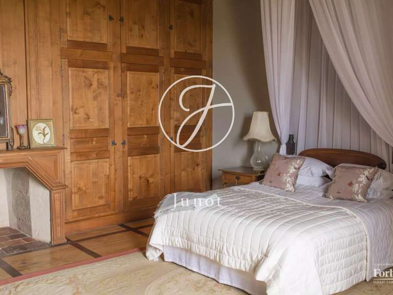 Château Vic-Fezensac - 503m²