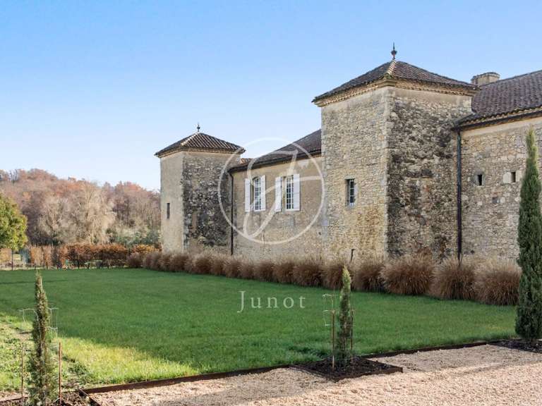 Castle Vic-Fezensac - 503m²