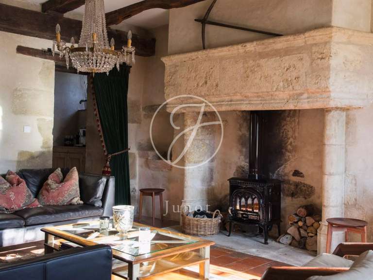 Castle Vic-Fezensac - 503m²