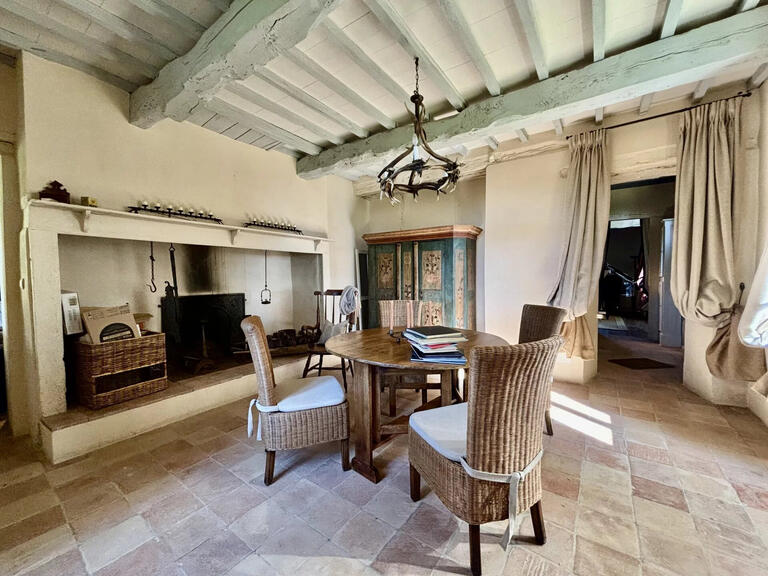 House Vic-Fezensac - 6 bedrooms - 427m²