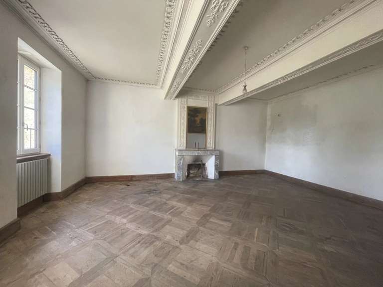 Maison Vic-Fezensac - 461m²