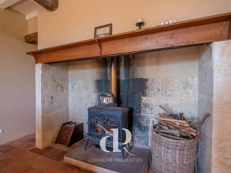 Maison Vic-Fezensac - 5 chambres - 360m²