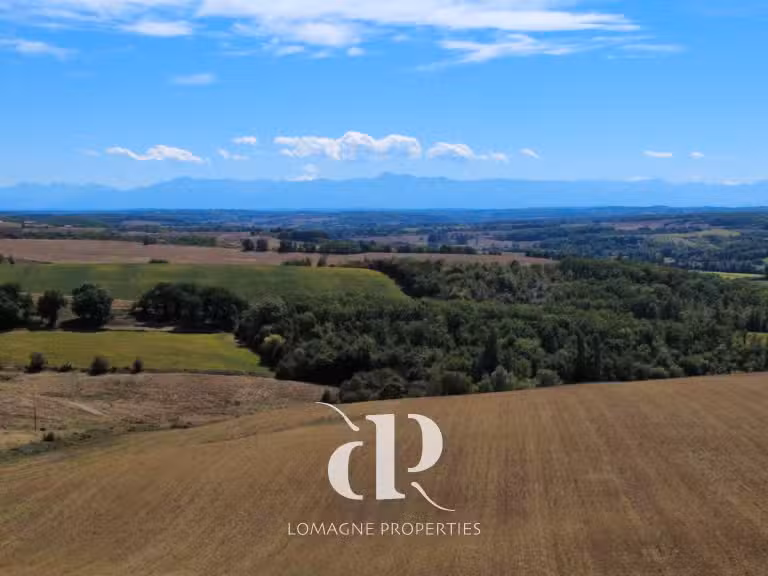 Maison Vic-Fezensac - 5 chambres - 360m²