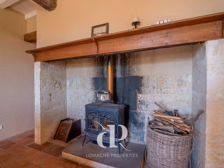 Maison Vic-Fezensac - 5 chambres - 360m²