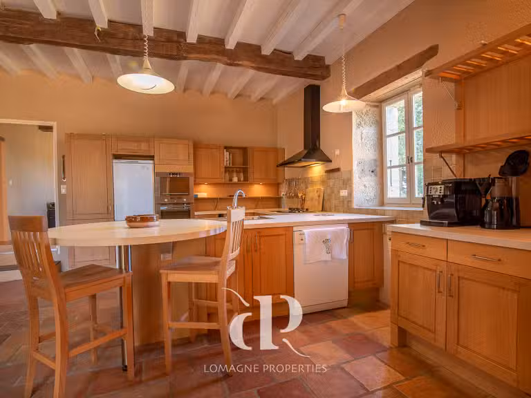 Maison Vic-Fezensac - 5 chambres - 360m²