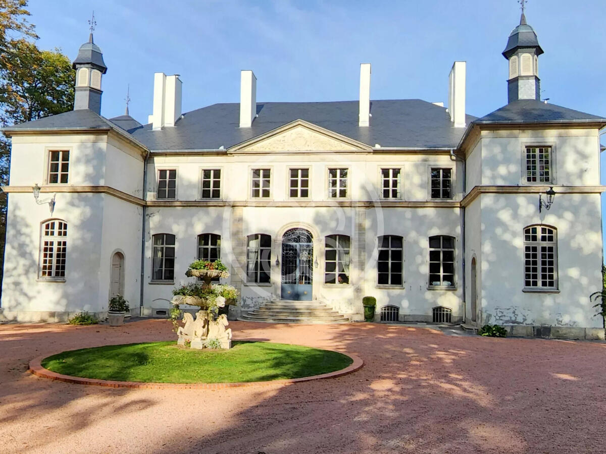 Castle Vichy