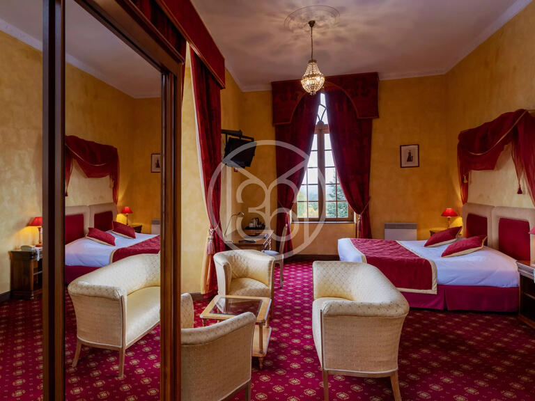 Sale Castle Vichy - 23 bedrooms