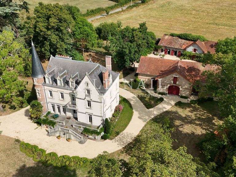 Castle Vichy - 7 bedrooms - 320m²