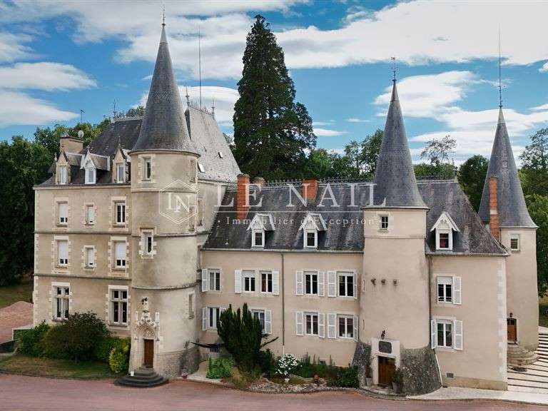 Castle Vichy - 15 bedrooms - 1100m²