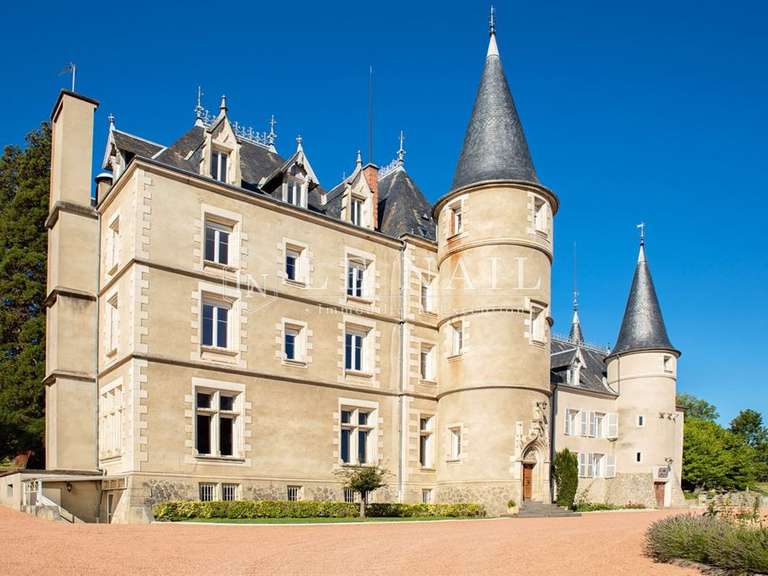 Château Vichy - 15 chambres - 1100m²