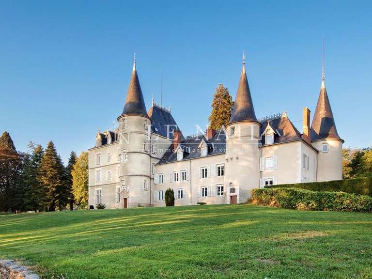 Château Vichy - 15 chambres - 1100m²