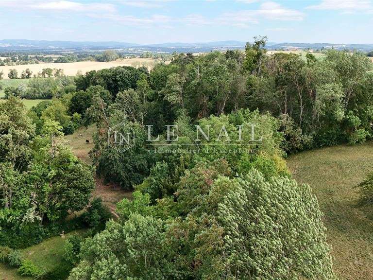 Castle Vichy - 15 bedrooms - 1100m²