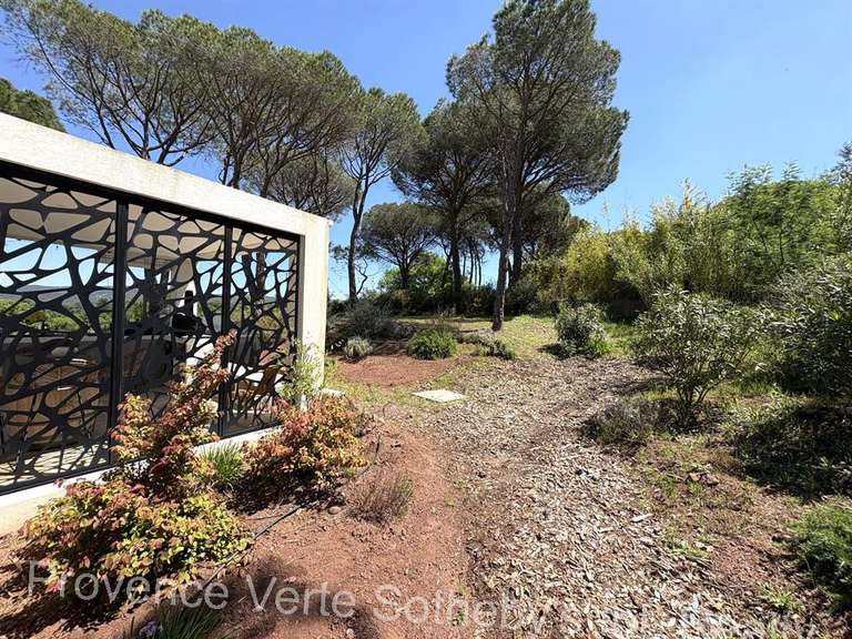 Maison Vidauban - 230m²