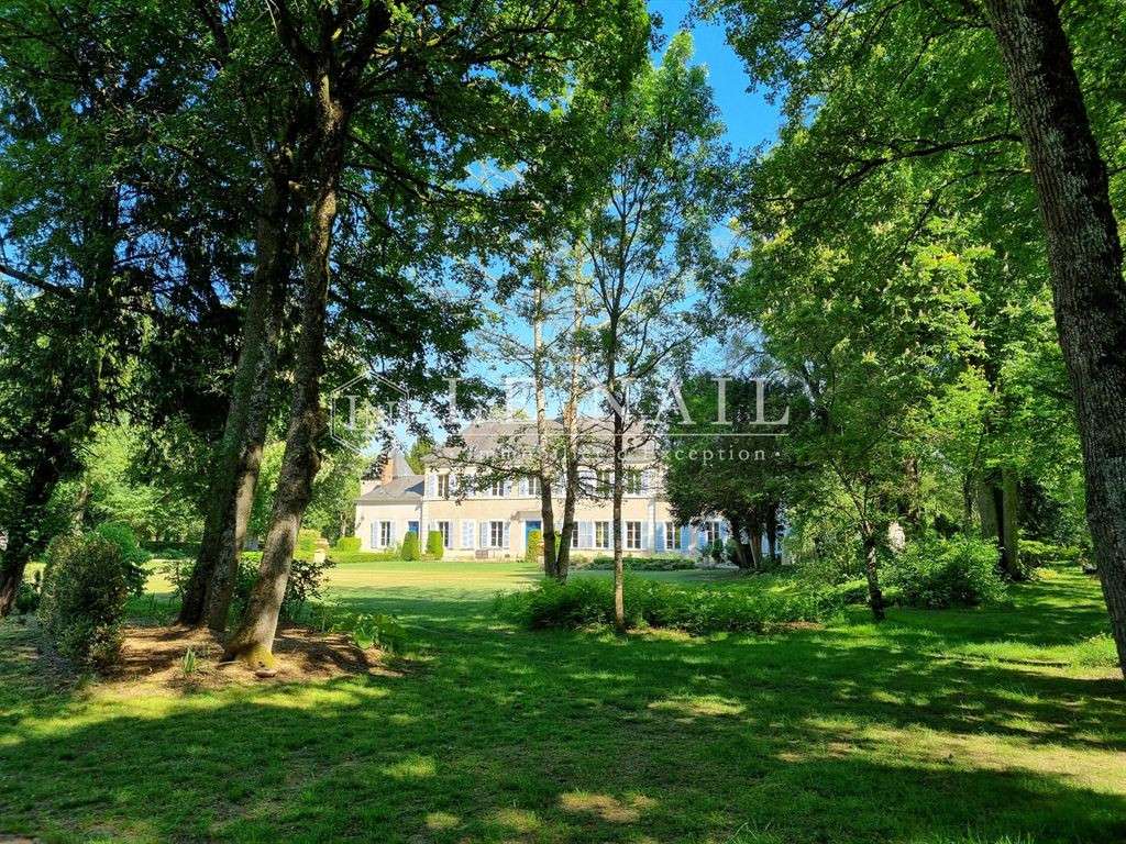 Castle Vierzon
