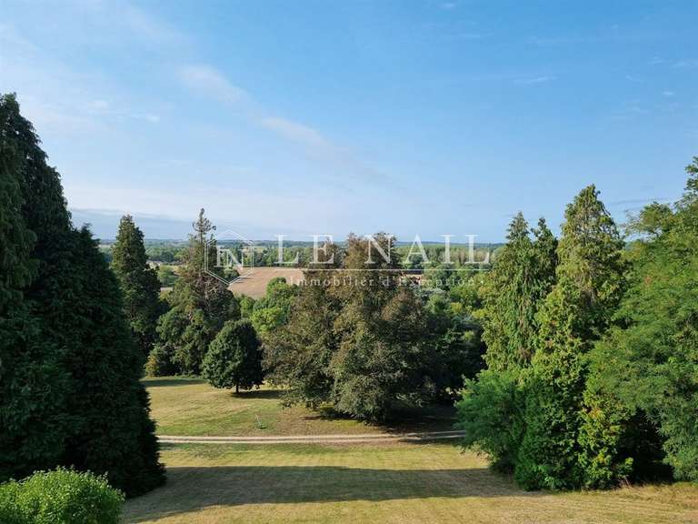 Castle Vierzon - 7 bedrooms - 650m²