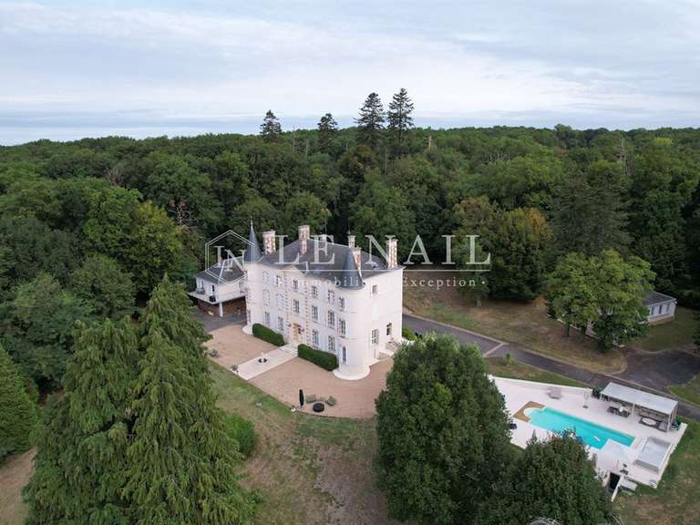 Castle Vierzon - 7 bedrooms - 650m²
