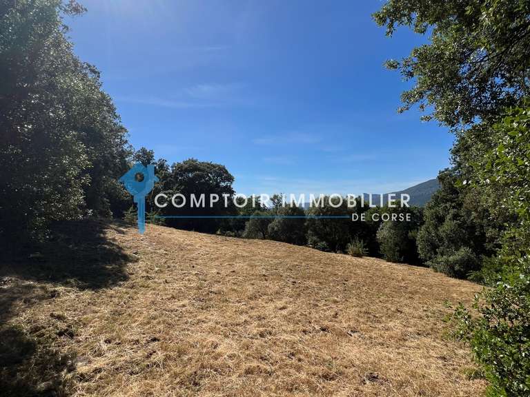House with Sea view Viggianello - 3 bedrooms - 160m²