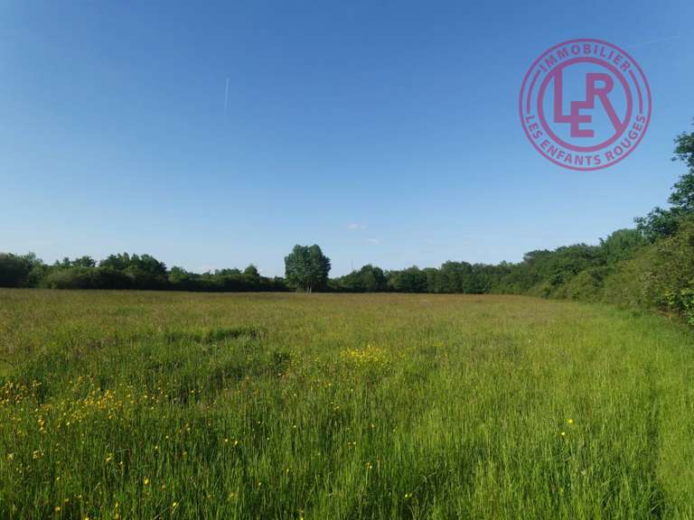 Maison Viglain - 5 chambres - 148m²