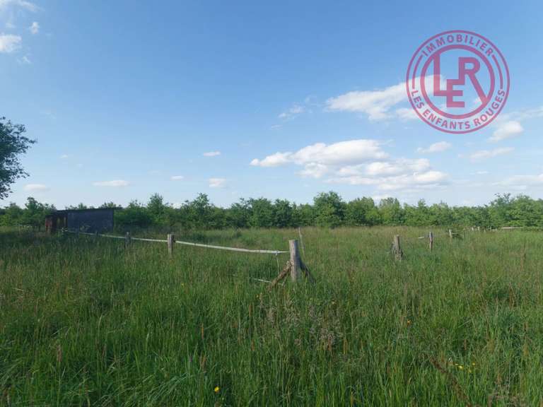 Maison Viglain - 5 chambres - 148m²