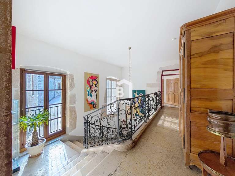 Castle Vignieu - 44 bedrooms - 5000m²