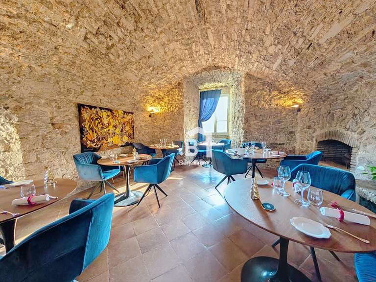 Castle Vignieu - 44 bedrooms - 5000m²