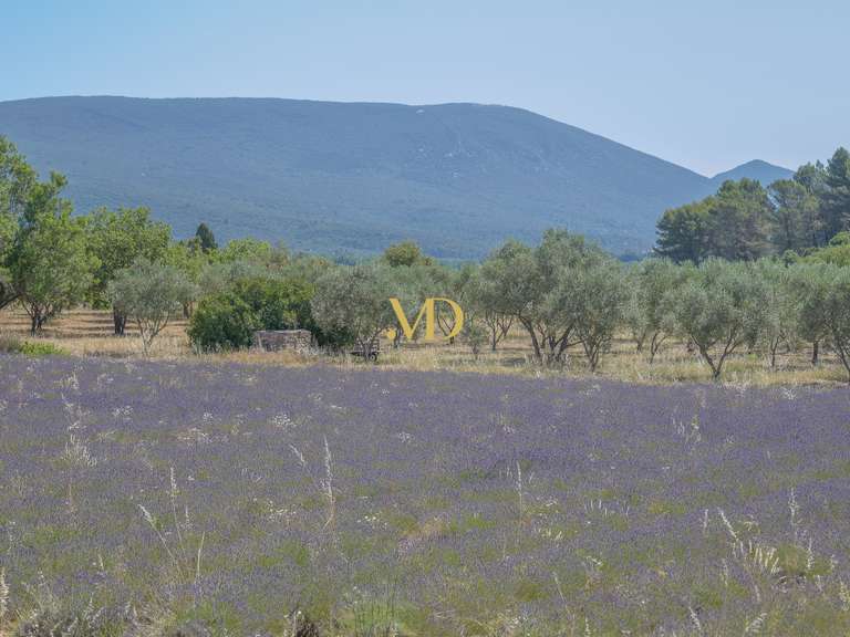 Maison Villars - 4 chambres - 280m²