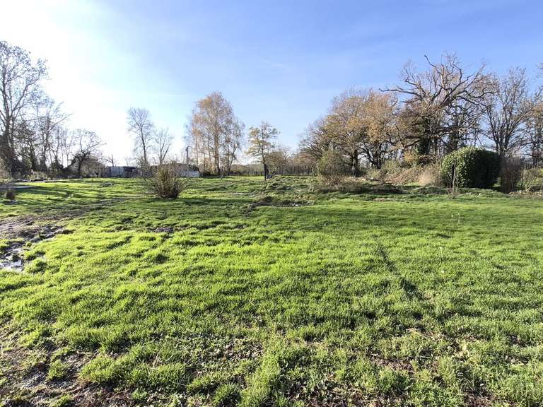House Villars-les-Dombes - 358m²