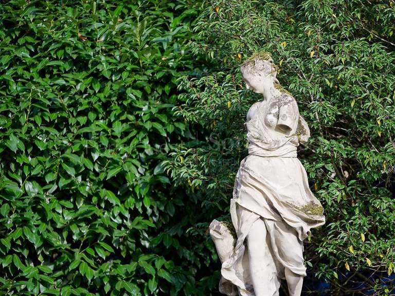 House Ville-d'Avray - 6 bedrooms - 500m²