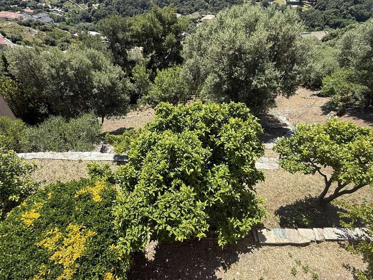 Maison Ville-di-Pietrabugno - 4 chambres - 130m²