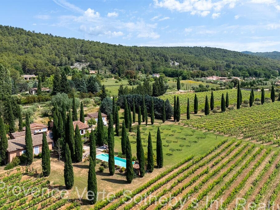 Vineyard Villecroze