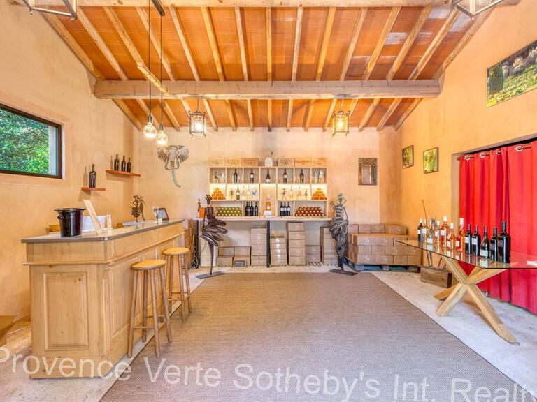 Domaine viticole Villecroze - 5 chambres - 235m²