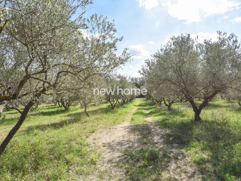 Maison Villecroze - 4 chambres - 241m²