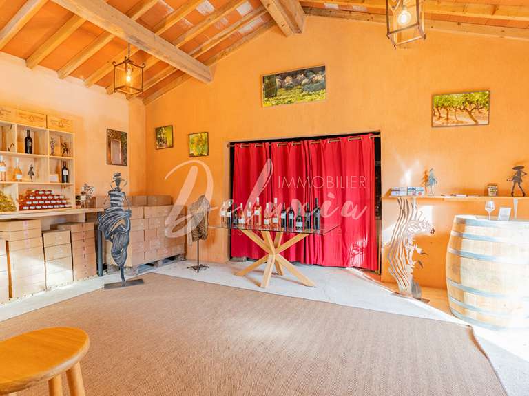 Villa Villecroze - 5 chambres - 222m²