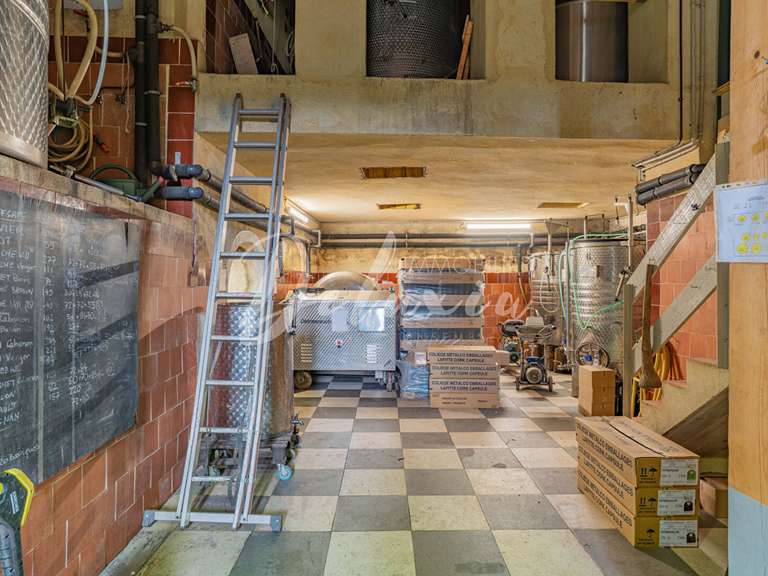 Villa Villecroze - 5 chambres - 222m²