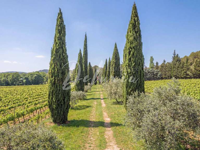 Villa Villecroze - 5 chambres - 222m²