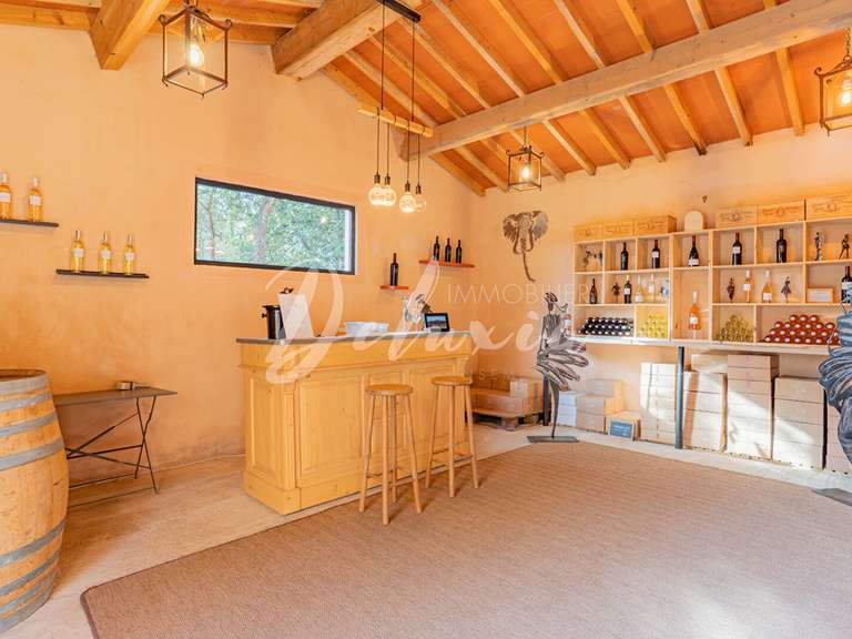 Villa Villecroze - 5 chambres - 222m²