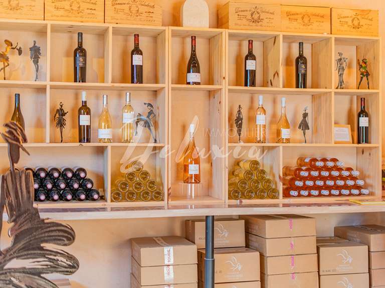 Villa Villecroze - 5 chambres - 222m²