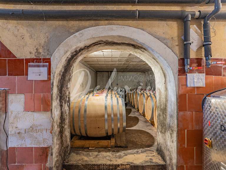 Villa Villecroze - 5 chambres - 222m²