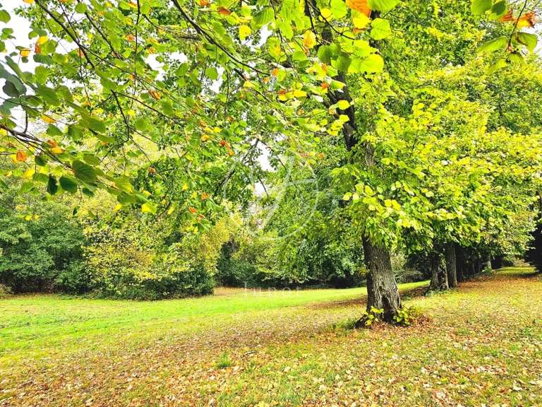 Château Villefranche-de-Lauragais - 12 chambres - 900m²