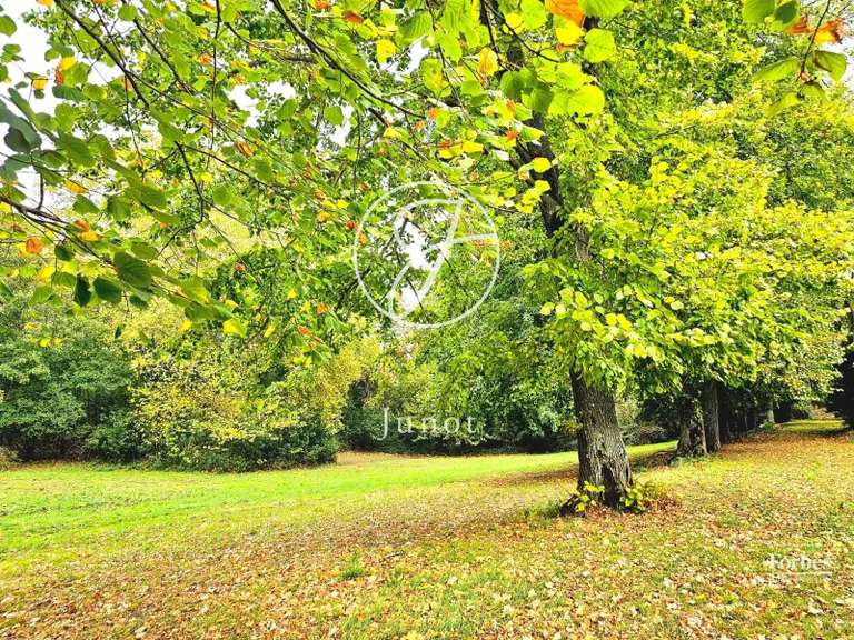 Château Villefranche-de-Lauragais - 12 chambres - 900m²