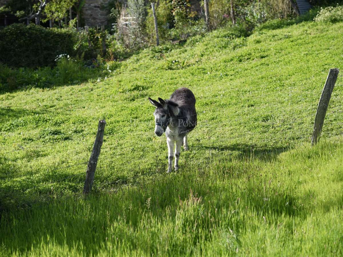 Château Villefranche-de-Rouergue
