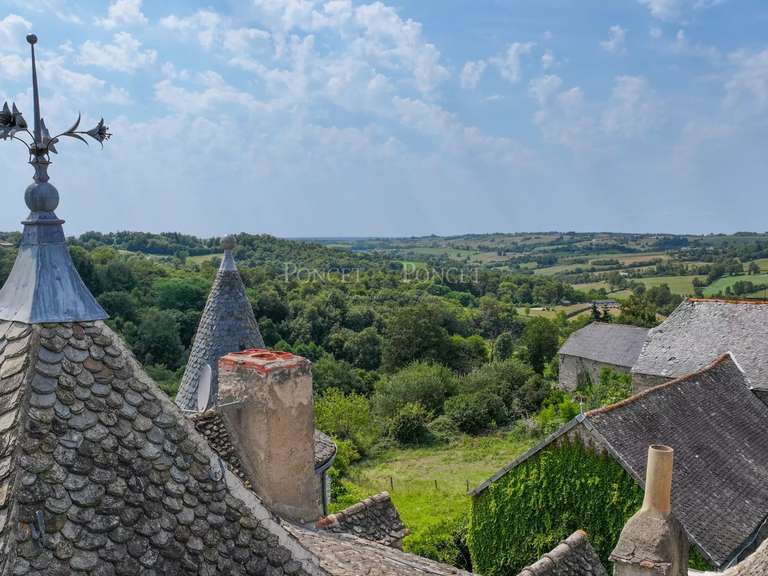 Château Villefranche-de-Rouergue - 7 chambres - 725m²