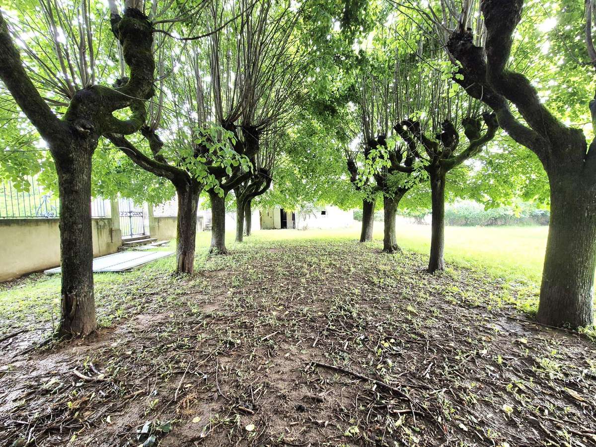 Propriété Villefranche-sur-Saône