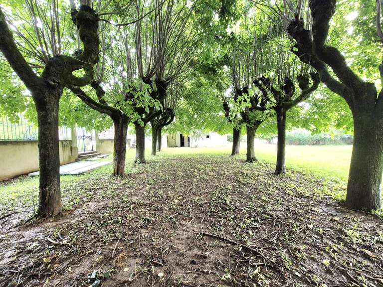 Propriété Villefranche-sur-Saône - 6 chambres