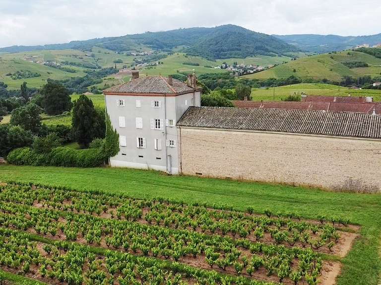 Propriété Villefranche-sur-Saône - 6 chambres