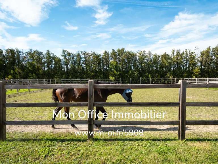 Maison Villelaure - 6 chambres - 340m²