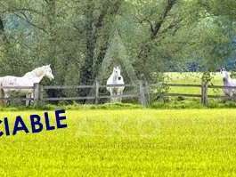 Maison Villemer - 6 chambres