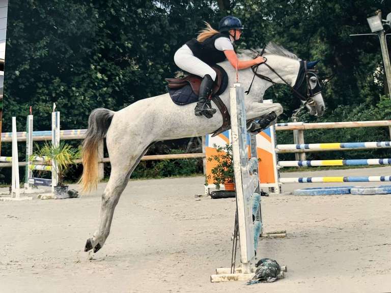 House Villemer - 6 bedrooms