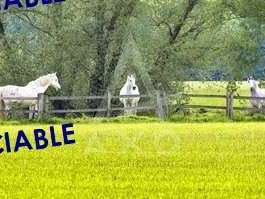 Maison Villemer - 4 chambres