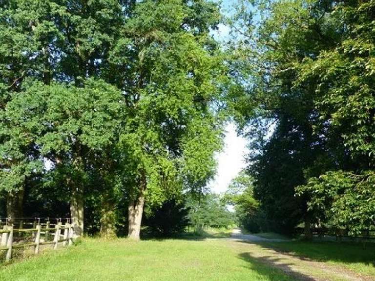 House Villemurlin - 240m²